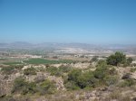 DSCF4917.JPG