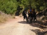 salida 01-08-09 034 [Desktop Resolution].jpg
