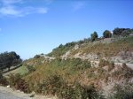 PICT0004.JPG