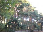 CIMG0802.JPG