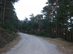 CIMG0819.JPG