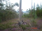 DSC03954.jpg