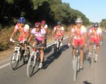 P8020130.JPG