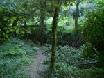 DSC00403.jpg