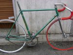 stelbel-verde-1.jpg