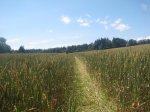 IMG_0901.jpg