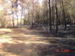DSC02483.JPG