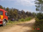 DSC02507.JPG