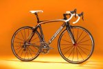 Orca 2010 J Orange.jpg a.jpg