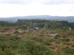 DSC02135.JPG