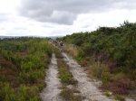 DSC02144.JPG