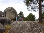 DSC02163.JPG