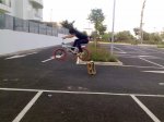 03082009241.jpg
