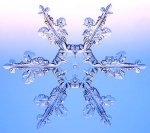 nieve[1].jpg