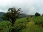 DSC00073.jpg