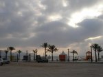 m_100_8992.jpg