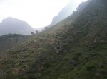 m_100_9027.jpg