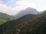 m_100_9028.jpg