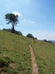 singletrack.JPG