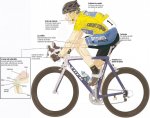 lesiones[1].jpg
