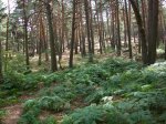 100_0034.JPG