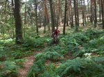 100_0035.JPG