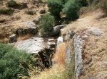 100_0043.JPG