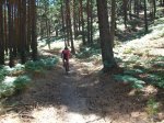 100_0051.JPG