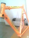 IMG0113A.jpg