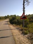 fotos movil 048.jpg