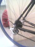IMG0130A.jpg