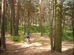Foto15.JPG