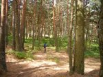 Foto16.JPG