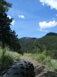 colorado-mtnbkg-eddieodea.jpg
