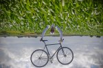 corn-field-rohand.jpg