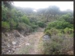 El primera paso del arroyo.jpg