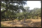Dentro de la finca Zanona.jpg