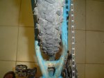 DSC04418.jpg