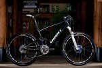 Anthem-X-Advanced-SL0_profile.jpg