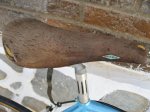IMG_0769.jpg