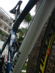 MADONE_6.JPG