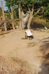 fua, mas fotos 304.jpg