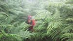 100_0574.jpg