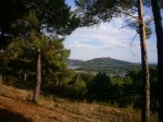 Foto3.JPG