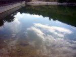 Foto6.JPG