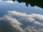 Foto7.JPG