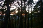Foto16.JPG