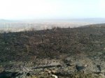 Imagen0108.jpg