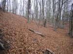 MONTSENY 2009_1_3_1.JPG