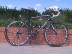 Specialized_Fergal.jpg